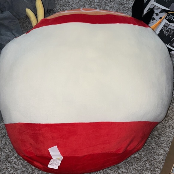 HUGE squishmallows RAISY THE RAMEN noodle - Picture 6 of 6